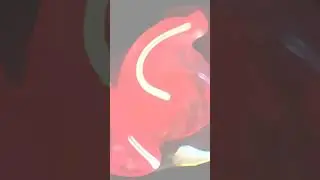 #forthesith #darthrevan #cosplay #neopixel #lightsaber #starwarsfan #starwarsnerd #starwarsgeek