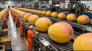 Inside a High-Speed Mango Juice Factory: Fresh Mangoes Turn Into Bottled Juice (Full Process)