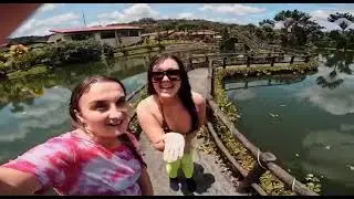 Costa RICA MASTERMIND TRIP for AMAZON.