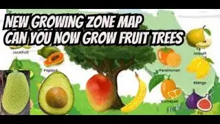 Can You Now Grow Tropical Fruit Trees?  New USDA Plant Hardiness Map