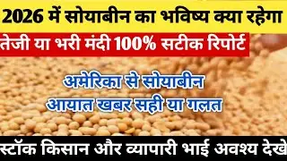2026 में सोयाबीन का भविष्य क्या रहेगा। Soybean Mandi bhav today। Soybean teji Mandi report। Soybean।