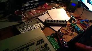 S-CAT Double Trouble Distortion with guitar.