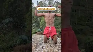 Chest exercises for chest 🔥 no gym #pushupchallenge #chestexercises #subscribe