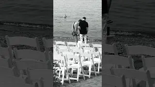 Wedding on the beach in high summer season 🤍 #love #canada #wedding #weather #hot #funny #fun
