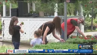 Ellis Home and Garden offering free flowers, vegetable plants for children to learn gardening