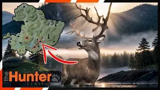 S Tier Spot Pays off EVERYTIME | Red Feather Setup Review#2 | TheHunter Classic