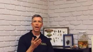 What are some signs that I have a pest infestation?