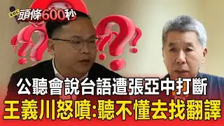 公聽會說台語遭張亞中打斷「用國語」！王義川怒噴：聽不懂去找翻譯【頭條600秒】