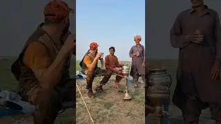 #hunting #ytshorts #shortsvideo #quailhunts