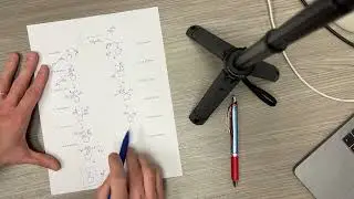 Imine Formation and Hydrolysis Mechanism