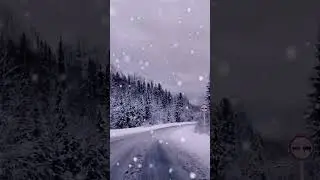 Как мало красок у зимы, как много роскоши и света