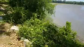 Bonaventure Cemetery's Suicide Bluff
