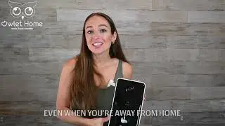 Owlet Home Pet Camera with Treat Tossing