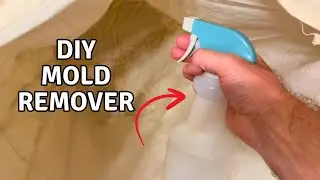 DIY Mold Remover Spray on Fabric (Hamper Liner) 