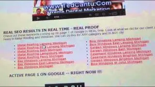 TED CANTU: Search Engine Optimization Results 2 Years Later