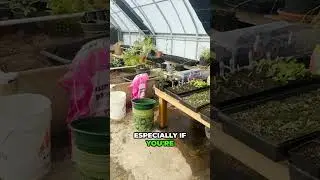 Top Tip for Greenhouse Growing [EASY!]
