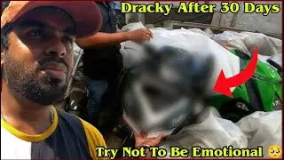Seeing Ninja 1000 After 30 Days 😢 - Ninja 1000 Insurance Issue 😞 | Dracky | Enowaytion Plus