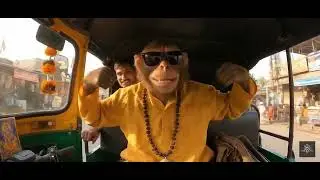 Ayodhya Ram Mandir air generated monkey video