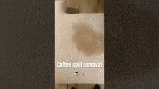 Coffee ☕️ spill removal from couch cushions!