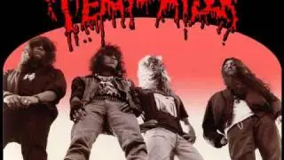 Terrorizer - World Downfall
