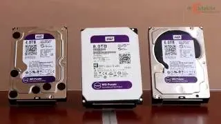 Mobitekno Review: WD Purple
