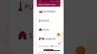 How to Check Vehicle Registration Number Online in All Pakistan #vehicleregistration #ytshorts