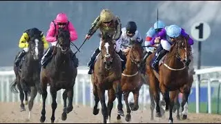 【SOUTHWELL】UK HORSE RACE ANALYSIS - CHECK OUT BEST OF THE DAY TOO!!