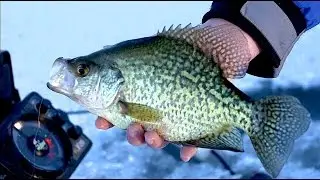 Northern Minnesota Panfish on First Ice