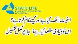 What is State Life Insurance Corporation of Pakistan and How It Works