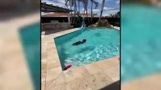 South Florida locals are renting out their backyards as private dog parks