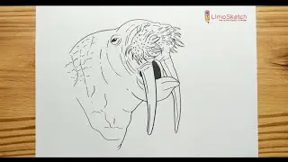 HOW TO DRAWING WALRUS' MOUTH AND HEAD