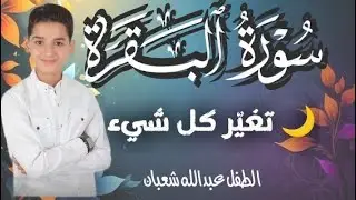 سورة البقرة | الطفل عبدالله شعبان | التحصين البيت و طرد الشيطان و السحر  Surah Baqara