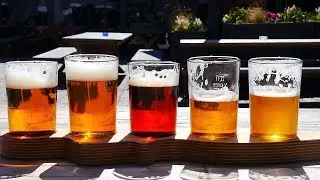 How many Calories Are in Becks Lager?