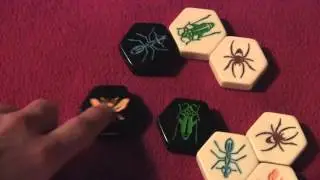 Hive Review