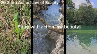 20 Sutra Action Law of Beauty | KarmaLogic #karmalogic #soul #karma #rulesoflife #rules #sign