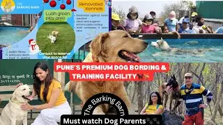 Dog hostel/boarding and Dog Training in Pune | The Barking Barn | Dog parents must watch. #doghostel