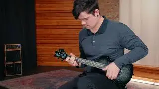 Ortega Guitars - Ukulele, Tenor size, Pickup, Solid, Neo Series (NEO-U-TGB-L)