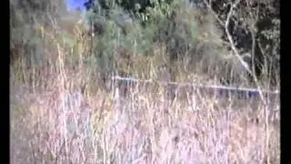 Rally Isla Bonita 1996