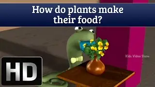 How Do Plants Make Their Food | Interesting Facts About Plants | Science Facts For Kids