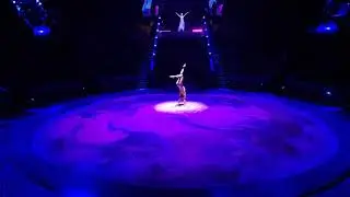 Handstand act, show 