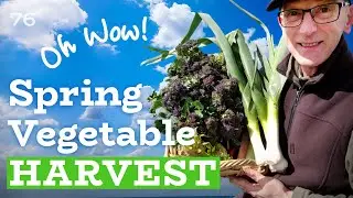 Vegetable Harvesting | Video | Spring 2024