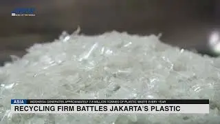 Recycling firm battles Jakarta's plastic waste emergency