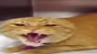 AAAAWUBADAUGH