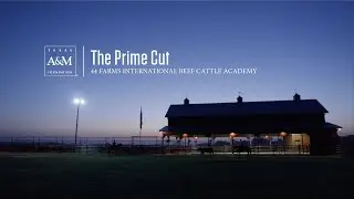 44 Farms International Beef Cattle Academy