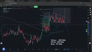 Apex Tannery Stock Analysis 2025 📊 ভবিষ্যৎ কি উজ্জ্বল?