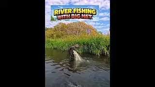 Unbelievable Net Fishing Catch , This Net Fishing Spot Was INSANE