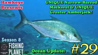 Fishing Planet #29 - S8 - Ocean Update: UNIQUE Narrow-Barred Mackerel & UNIQUE Greater Amberjack!