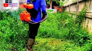 Pemilik rumah ini Sudah merasa malu melihat rumput nya sangat tinggi dan tebal   #rc84
