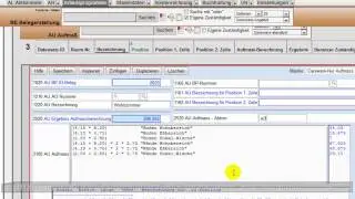 Careware Carisma-Software MaxiSaaS Maler-Aufma&szlig;
