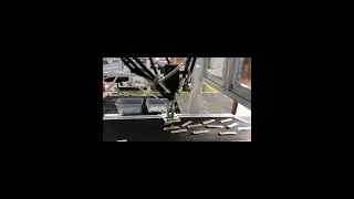 Parallel robot is high efficient to sorting the strip. #sorting #picks #robotic